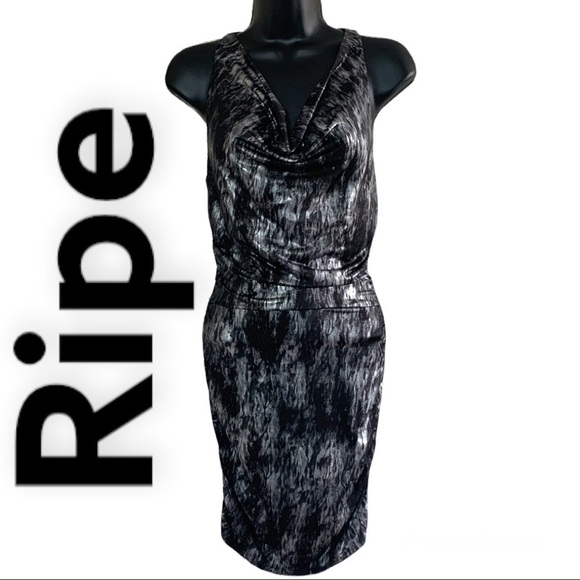Ripe Black With Shimmery Silver Cocktail Dress - Picture 1 of 11